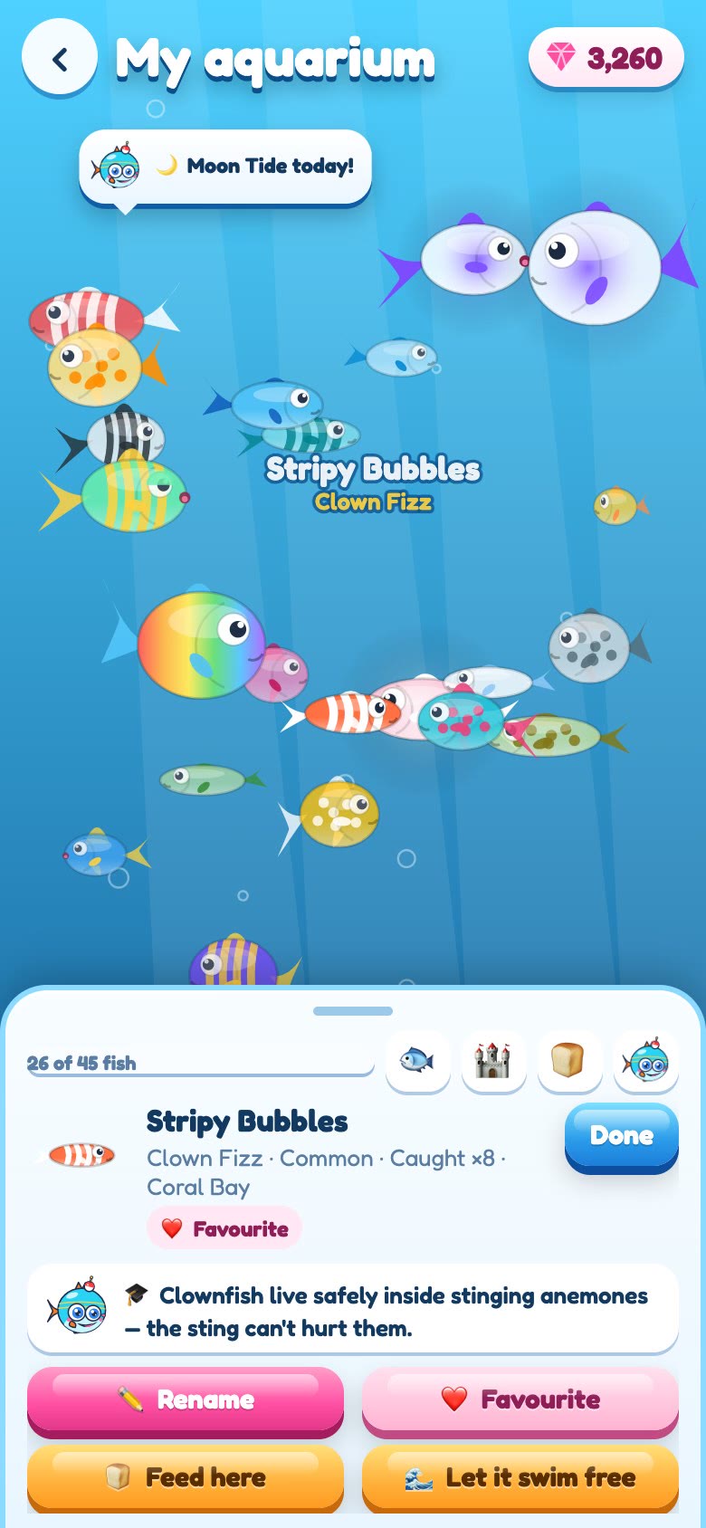 Gameplay: a tap on a named clownfish, it pops and swims to the front, its card rises with name, rarity, home sea and the fact read by Boop